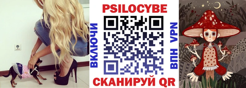 Купить где  Мегион  Псилоцибиновые грибы Psilocybine cubensis 